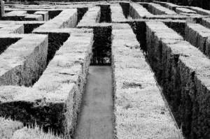 3874183532_364cb9949d_b